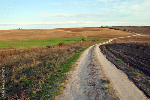 Obraz na płótnie road in the field w salonie