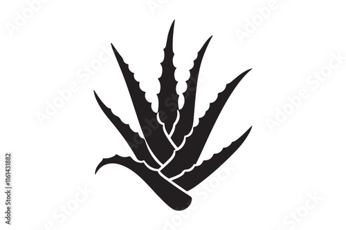 Alovera vector silhouette  62.eps