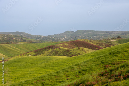 Green fields in the centre of island, Sicily, Italy