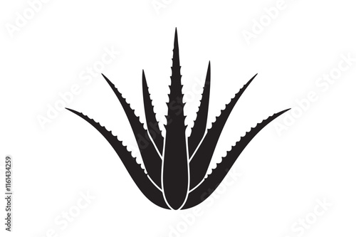 Alovera vector silhouette  71.eps