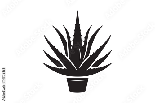 Alovera vector silhouette  78.eps
