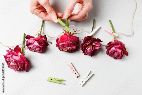 Obraz na płótnie Florist at work: woman shows how to make a simple Valentine's Day decoration with semi-dry roses, string and clothes pegs. Step by step, tutorial. w salonie