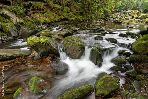 Long exposure of the east Lyn river flowing through the woods at Watersmeet in Exmoor National Park