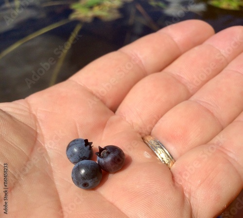 three fresh  blueberries in the palm of a hand with wedding band