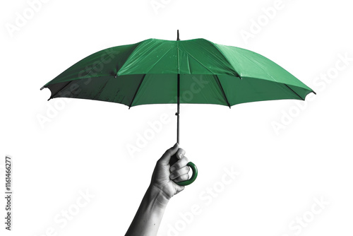 Monochrome photo of a hand holding a green umbrella against a light grey backdrop, emphasizing photo