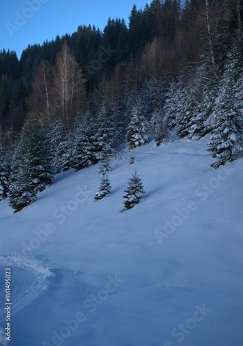 Wallpaper Mural nature
 Torontodigital.ca