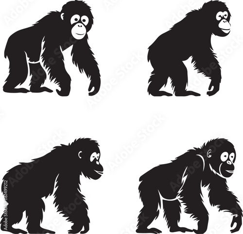 silhouette of orangutan on white background