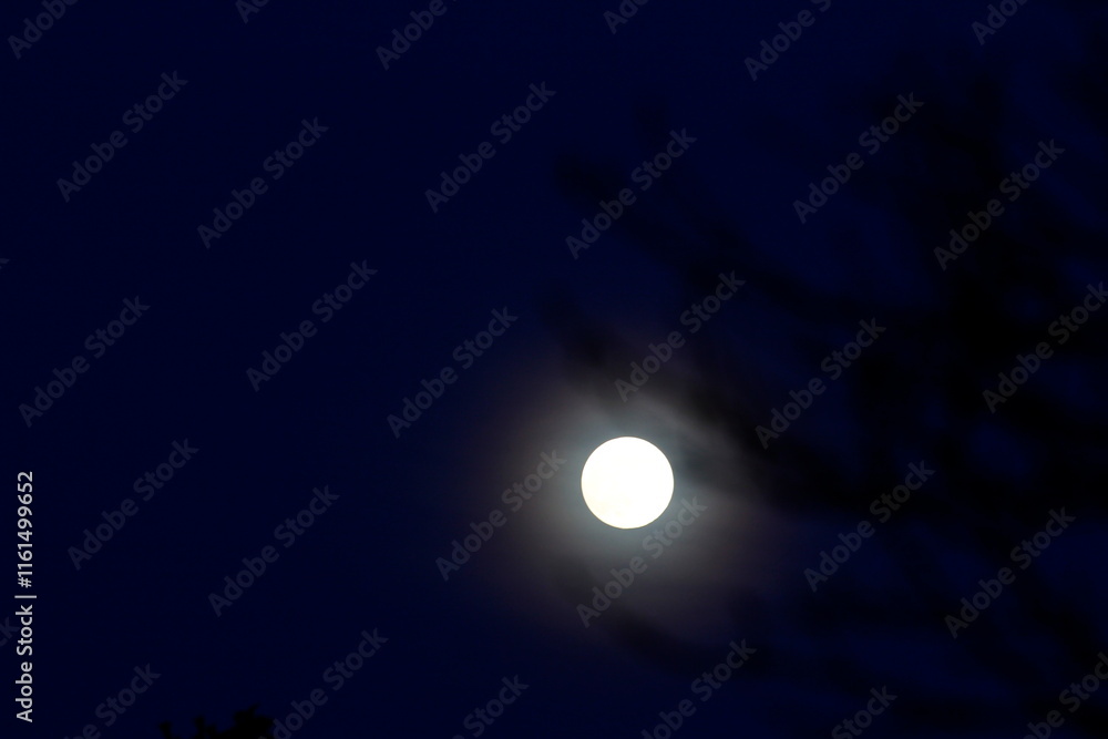 Full Moon Seen During an Early Evening Full Moon Seen During an Early Evening