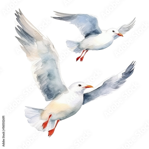 Seagulls in Flight photo