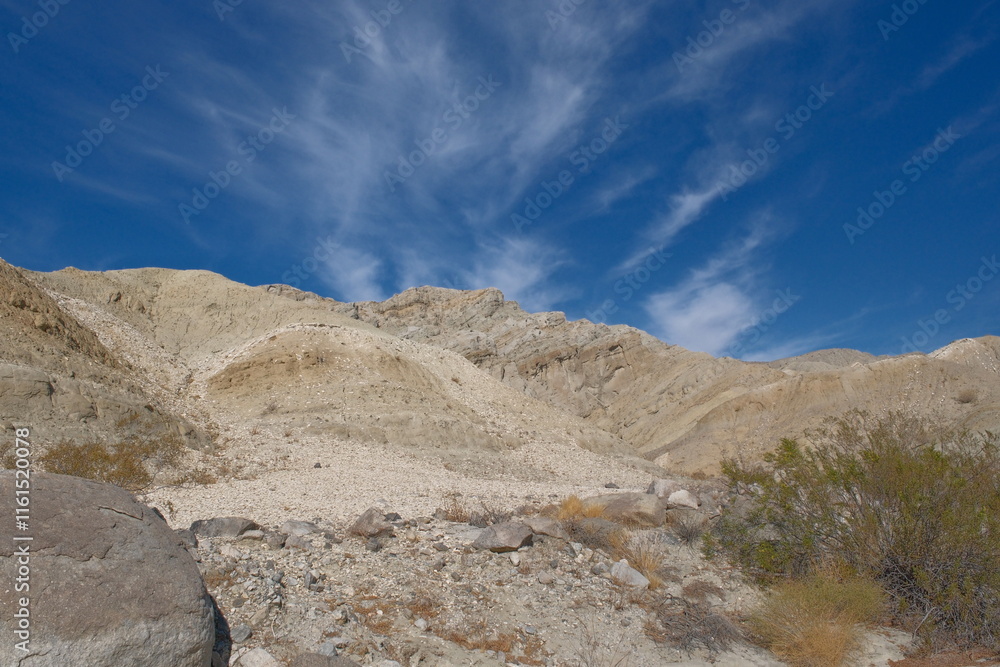 Desert Landscape Desert Landscape