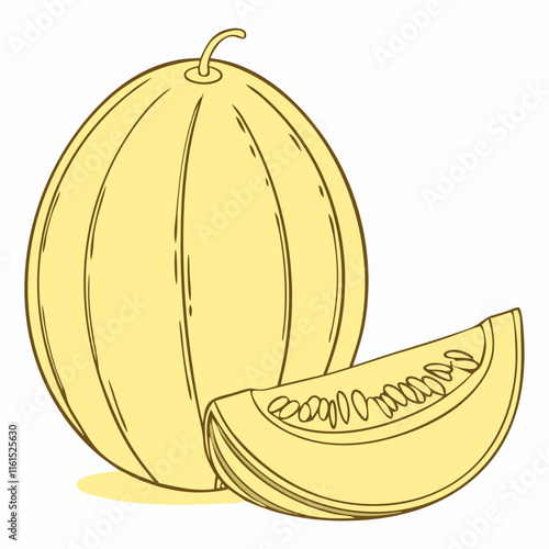 illustration of melon