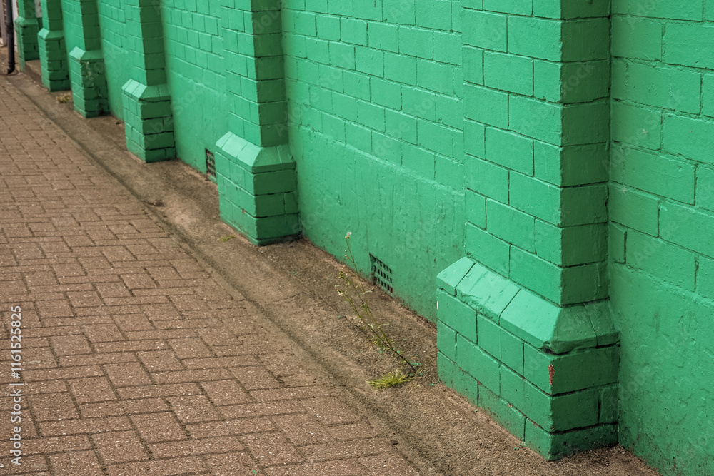 Fototapeta premium Old grunge street. Grungy urban background of a brick wall painted in ugly green