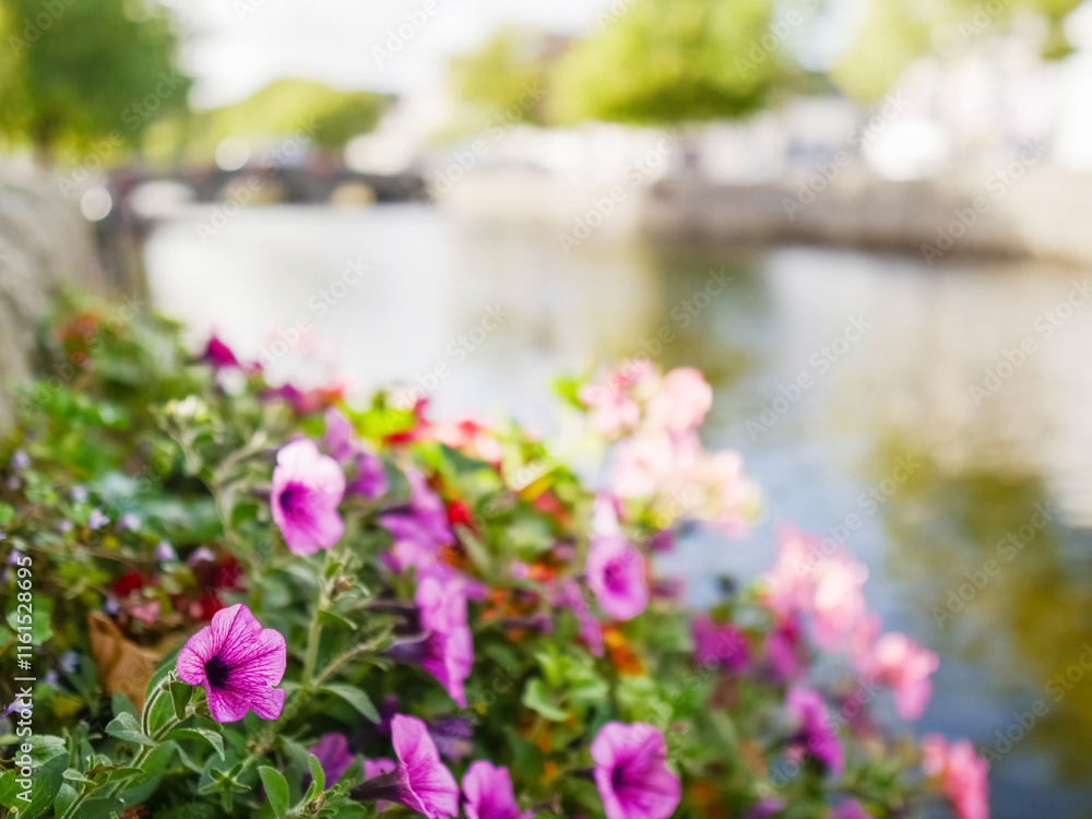 A beautiful flower garden with pink and purple flowers. The flowers are in a vase and are placed on a ledge near a river. The scene is peaceful and serene, with the flowers adding a touch of color A beautiful flower garden with pink and purple flowers. The flowers are in a vase and are placed on a ledge near a river. The scene is peaceful and serene, with the flowers adding a touch of color