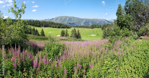 Paysage de montagne, Alpes françaises
