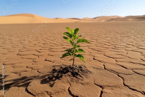 A solitary green plant emerges from cracked dry earth in a desert landscape, symbolizing resilience and persistent life in an unforgiving environment. photo