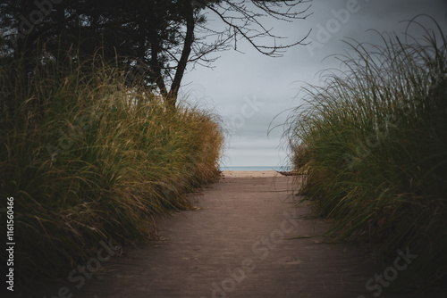 Fototapeta Naklejka Na Ścianę i Meble -  Cloudy morning on the shore of the Baltic Sea	