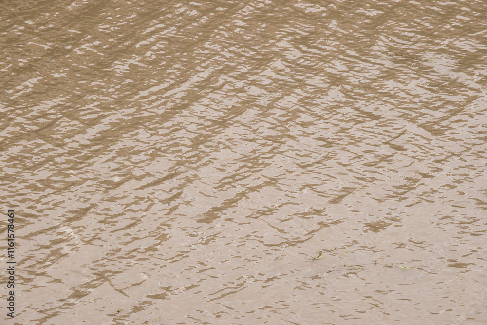 photo of the brown color of the water on the river bank