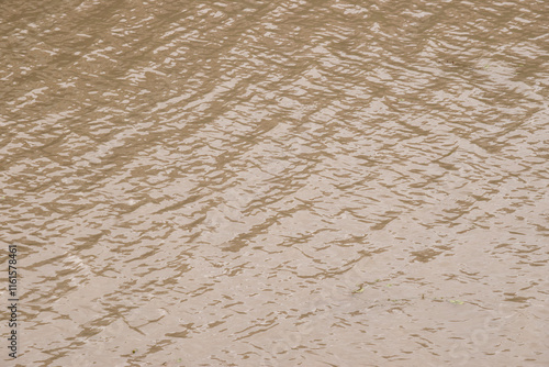 Obraz na płótnie photo of the brown color of the water on the river bank w salonie