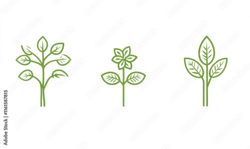 Three minimalist green plant illustrations. Three minimalist green plant illustrations.