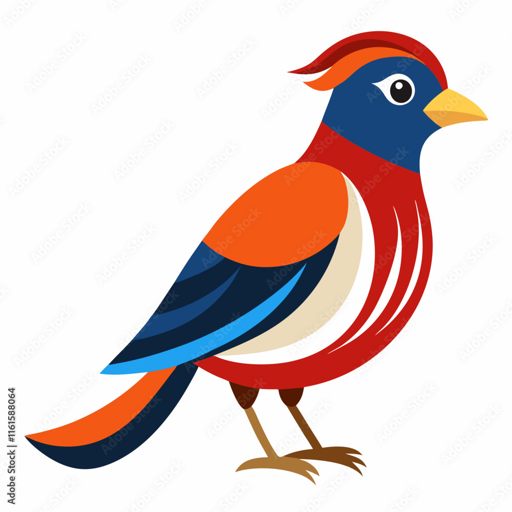 Bird on White Background Bird on White Background