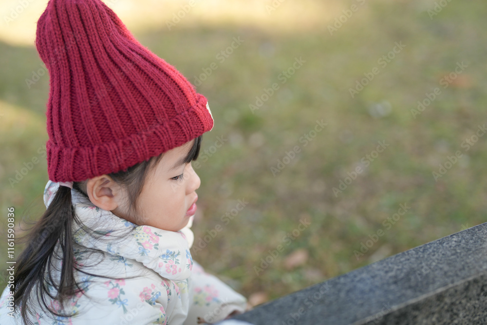 A 3-year-old Japanese girl wearing a red knit hat and white down jacket walks with fallen leaves on a cold winter afternoon in a park in Hakata, Fukuoka Prefecture. A 3-year-old Japanese girl wearing a red knit hat and white down jacket walks with fallen leaves on a cold winter afternoon in a park in Hakata, Fukuoka Prefecture.