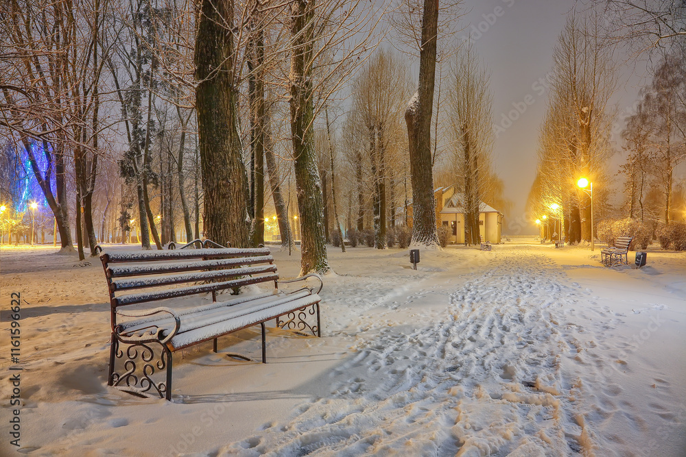 Fantastic view of winter park with benches covered with snow in the evening.