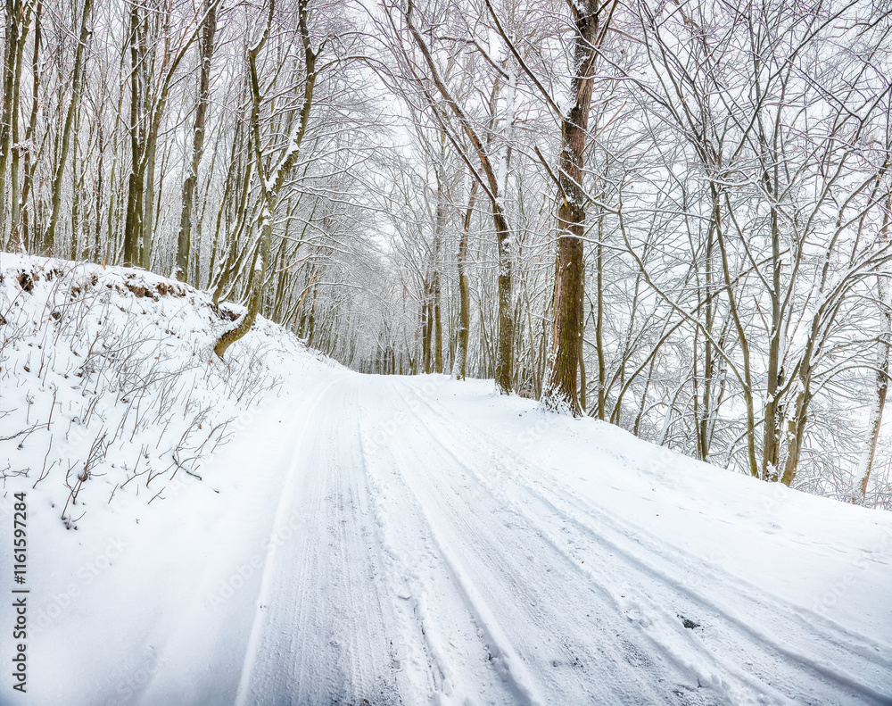 Fototapeta premium Amazing view of winter road in the forest.