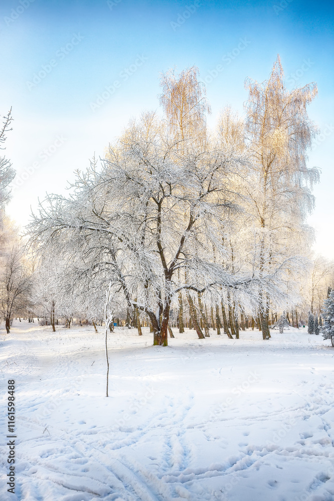 Picturesque landscape with snow-covered trees in the city park. Picturesque landscape with snow-covered trees in the city park.