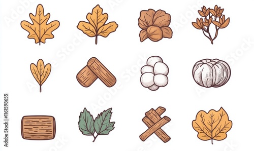 Autumn leaves, wood, cotton, nature elements illustrations. photo