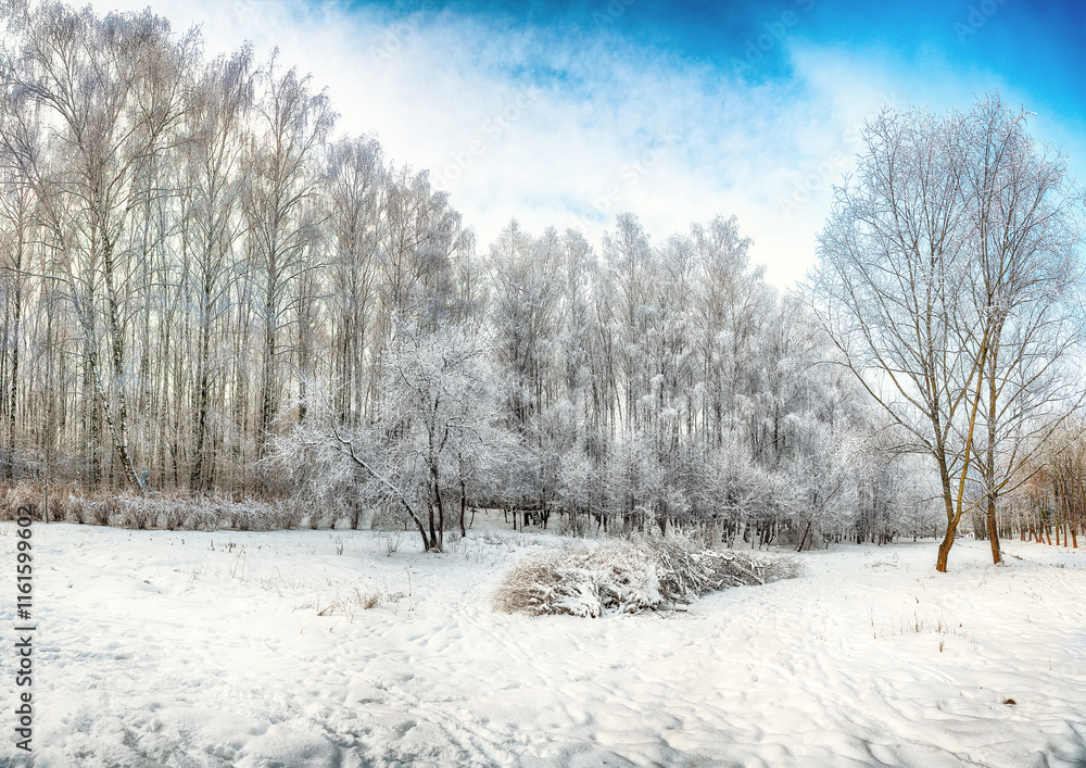Picturesque landscape with snow-covered trees in the city park. Picturesque landscape with snow-covered trees in the city park.