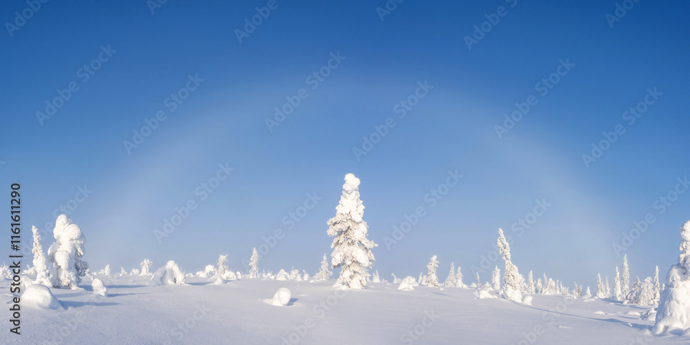 Φωτογραφία A panorama of a fog bow over a wintery landscape on a really cold morning in Rii