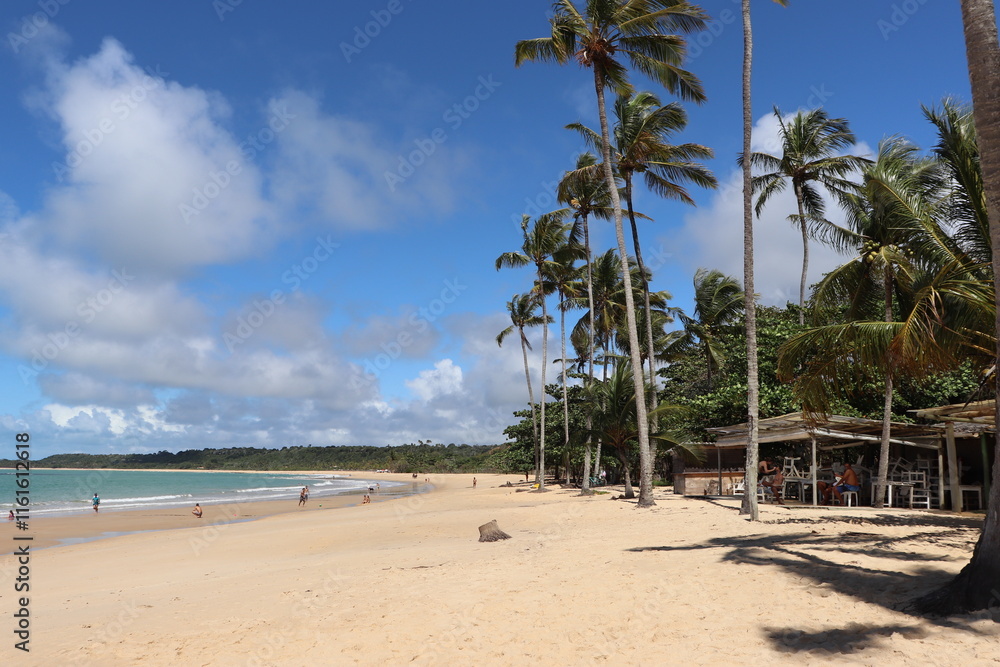 Naklejka premium beach with palm trees