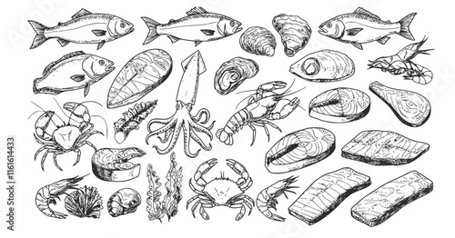 Seafood vector illustrations. Hand drawn line sea fishes, oysters, lobster, squid, octopus, crabs, prawns, fish fillet. Laminaria and wakame seaweeds. Healthy food natural set Transparent background 