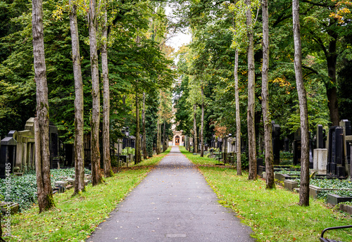 The New Jewish Cemetery in Zizkov district, in Prague, Czechia, where Jewish notable people such as Franz Kafka are buried.  photo