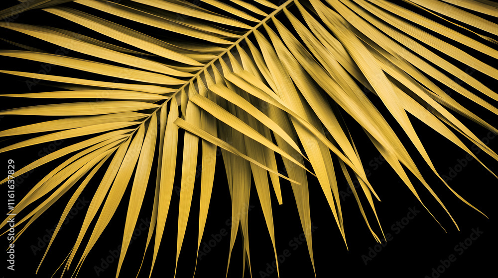 Obraz premium Golden Palm Frond on Black, Tropical Elegance, Nature's Golden Hues Shine against Dark Background, Exquisite Detail.
