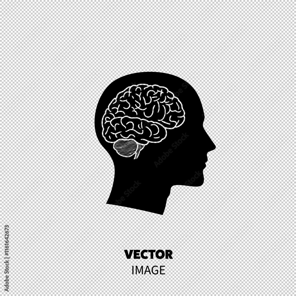 Silhouette of a male head with a drawing of a brain inside, symbolizing cognitive thinking and neuroscience. Silhouette of a male head with a drawing of a brain inside, symbolizing cognitive thinking and neuroscience.