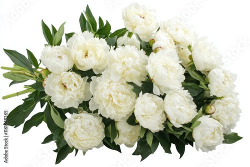 Fototapeta Naklejka Na Ścianę i Meble -  Isolated beautiful white peony arrangement on a white background