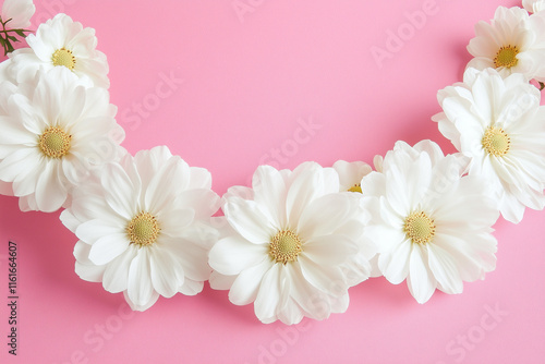 pink flowers on white background