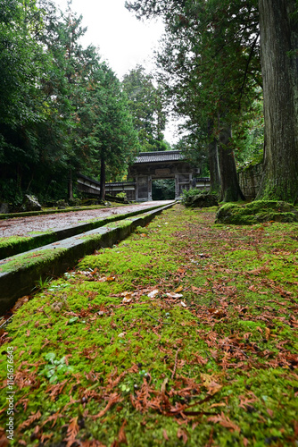 高岡市・国泰寺 臨済宗本山の紅葉 photo