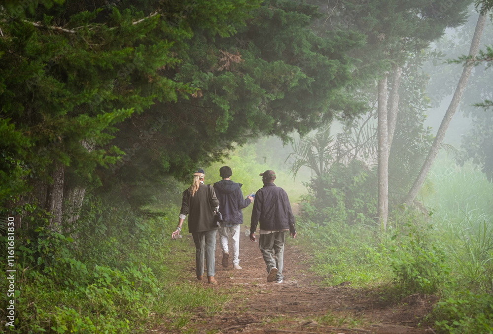 Foggy Forest Trail with Hikers/birdwatchers in Taita Hills, Kenya