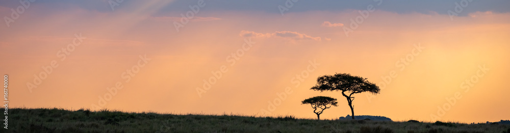 Sunbeams though clouds onto savanna landscape in the late afternoon, in the Maasai Mara National Reserve, African wildlife adventure safari in Kenya
Sunbeams though clouds onto savanna landscape in the late afternoon, in the Maasai Mara National Reserve, African wildlife adventure safari in Kenya