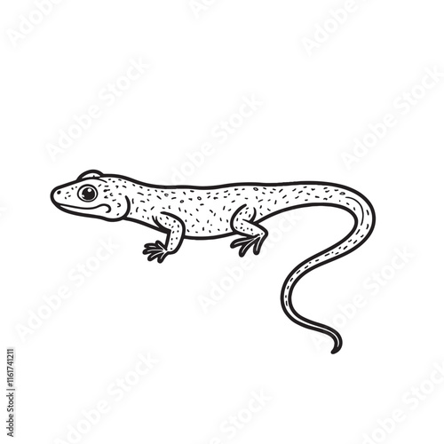 Amphibians are those animals on white background 
Frog, Crocodile, Alligator, Monitor lizard, Salamander, Toad, Newt, Iguana, Snake, Green dragon lizard, Snake