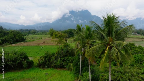 Wallpaper Mural This tranquil drone footage captures the stunning natural beauty of Chiang Dao in North Thailand. The scene features lush greenery, towering palm trees, expansive rice fields and majestic mountains. Torontodigital.ca