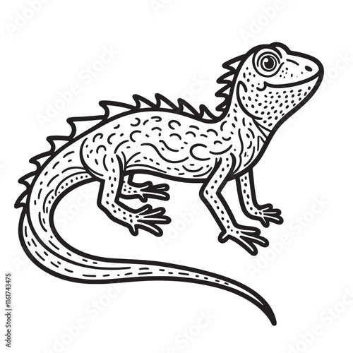 Amphibians are those animals on white background 
Frog, Crocodile, Alligator, Monitor lizard, Salamander, Toad, Newt, Iguana, Snake, Green dragon lizard, Snake