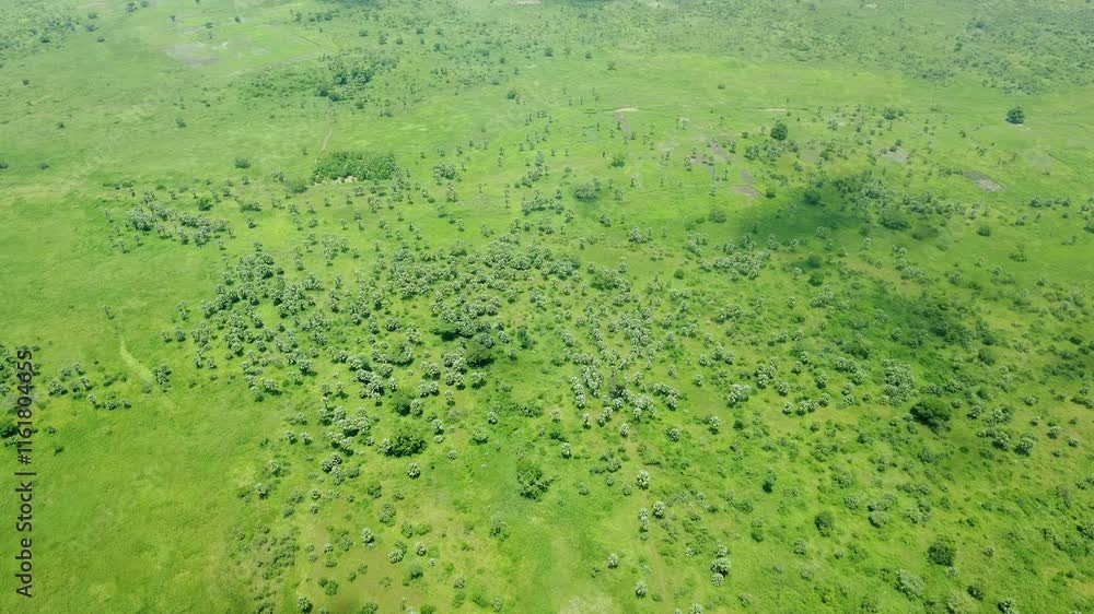 Aerial flyover of the landscape of Eastern Equatoria State in South Sudan. Aerial flyover of the landscape of Eastern Equatoria State in South Sudan.