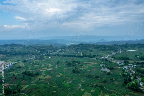 Expansive aerial view of lush tea fields in Xindian Town, Mingshan District, Ya'an captures the beauty of rural agriculture photo