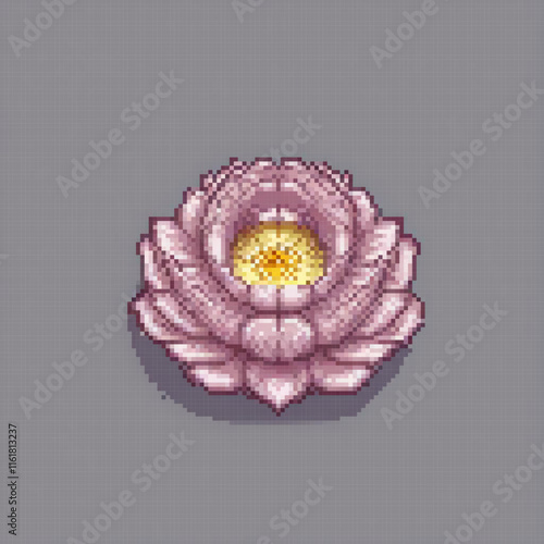 Vintage pink water lily illustration on a muted gray backdrop.