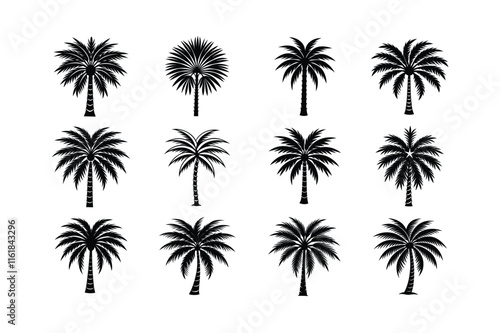 12 bundle vector silhouette of silhouettes of palm trees, palm tree silhouette vector illustration