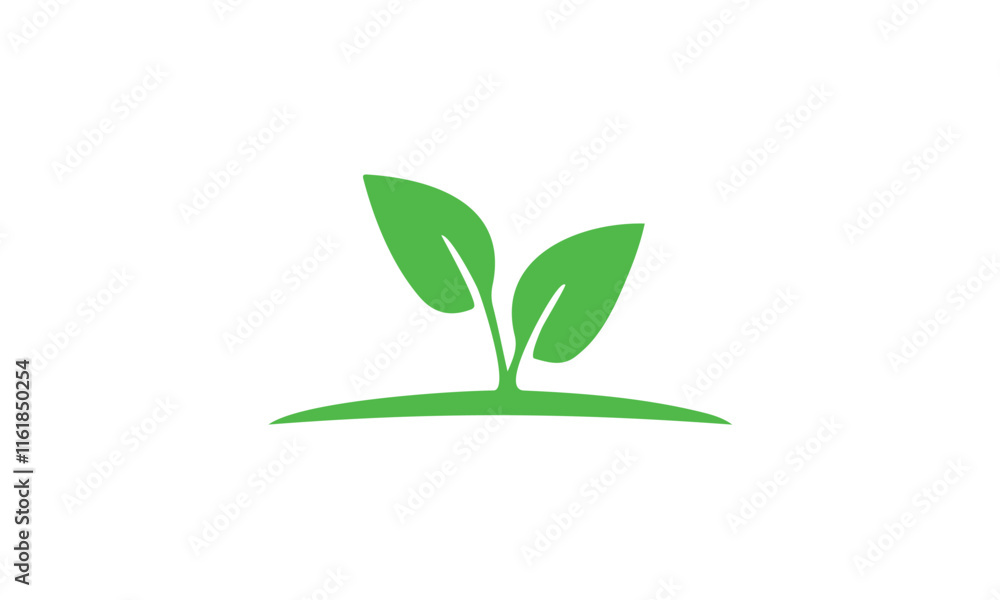green plant growing from a plant green plant growing from a plant