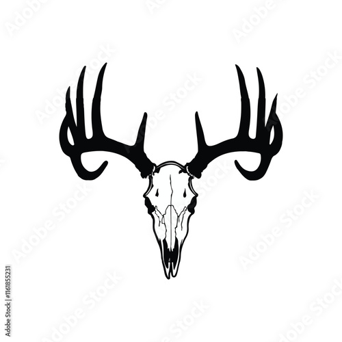 Deer skull hanging  vector